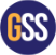 GSS - Golden security services